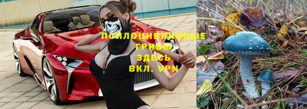 гидропоника Абинск